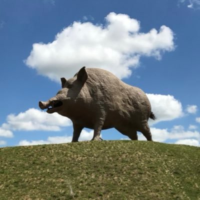 gcroach16's profile picture. ☦︎🇫🇷 | @4ocean @saints