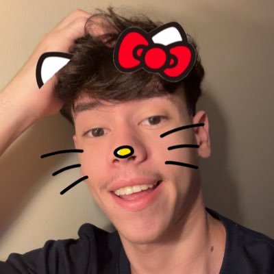 _swifthy's profile picture. filho da taylor swift e irmão da olivia rodrigo e da gracie abrams