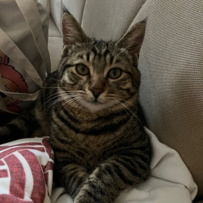 PrinceNymeros's profile picture. 