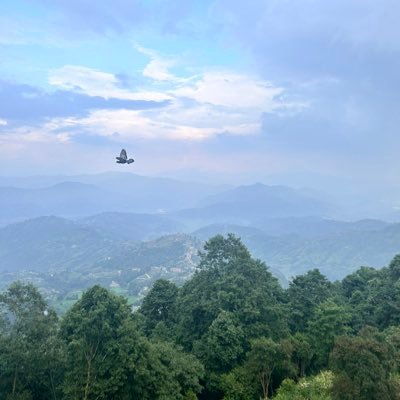 aunia_1's profile picture. 