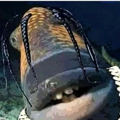 Jennife88323367's profile picture. Hi