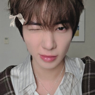 abacatastrofe's profile picture. #태현, #제이크 & #방찬 casual collector ⭑｡𖦹°‧ ela/dela