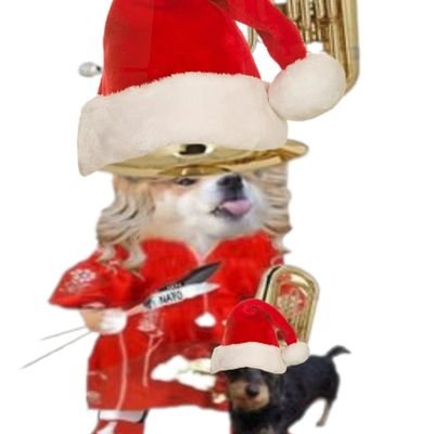 NAFOfellaLotte's profile picture. Danïsh Granny  #StandwithUkraine 🇺🇦 #FreeUkrainianPOWs 
#PollWreckingTeam #Article5
#TubaDivision
Morgan Area Genealogical Association (#MAGA)