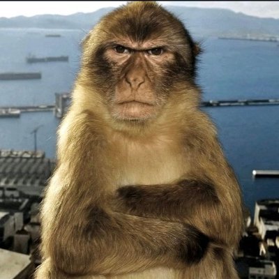 normalp1lled's profile picture. getting killed