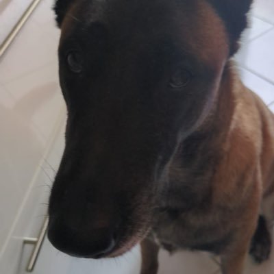 NC61074566's profile picture. 