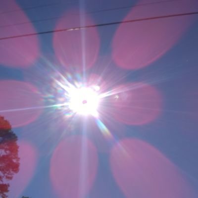 JillLaylaNew's profile picture. new account.  old phone died