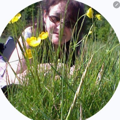 PaulineSavery's profile picture. 