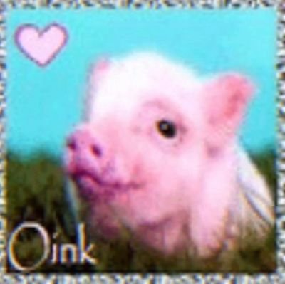 9383468902O's profile picture. shatter