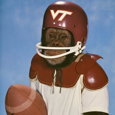 berndt95's profile picture. James Franklin