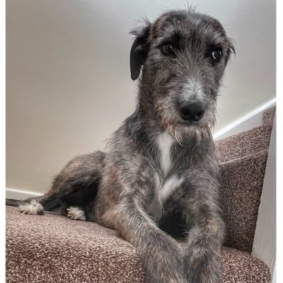 flyabout7's profile picture. 