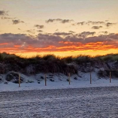 Boallen327622's profile picture. 