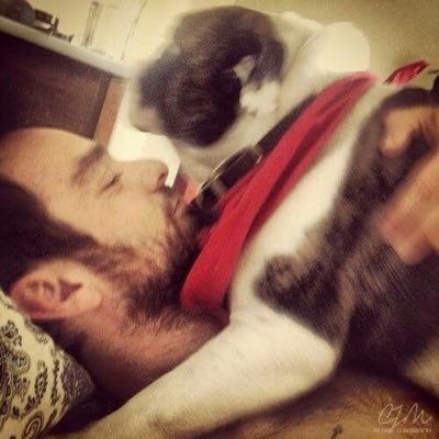 sorrowfields's profile picture. i dont follow back ageless accounts