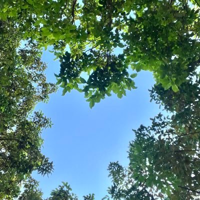 TabrisNagisa9's profile picture. Le monde de la réalité a ses limites; le monde de l’imagination est sans frontières.