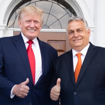 BitcoinDol10163's profile picture. $$$BTCD$$$