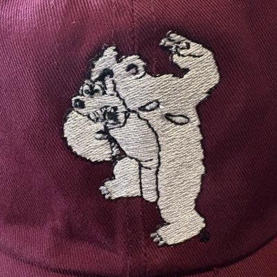 portlandpuddles's profile picture. “GoGriz!” 🐻 ❤️🇺🇸 Oregonian, Iraq Veteran, Independent. Trying to surf the world🏄🏼‍♂️🌎🏄🏽‍♂️. Ryan 🥴Leaf is a cats fan, enough said. XX-XY.