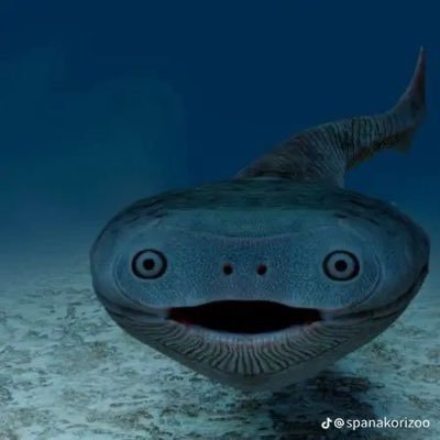 FishyFishTacos's profile picture. fish gay fish fish angst angst fluff lore lore • I see you looking at meh bio💥• I run @BeanspaceTmine2 & @Medbean149252, etc…