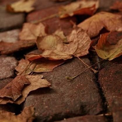 chrmndrrrr's profile picture. don't when will be back

all works: @AUsniCharm