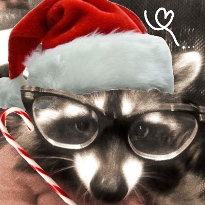 T4intedh3arts's profile picture. Raccoons are pretty cool