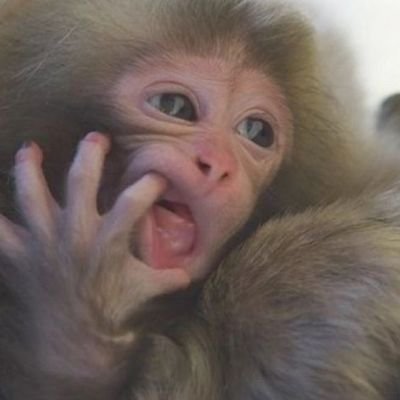 pessicol4's profile picture. nenanenicaniña