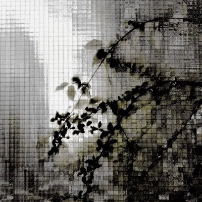 silverequiem's profile picture. sunghoon enthusiast