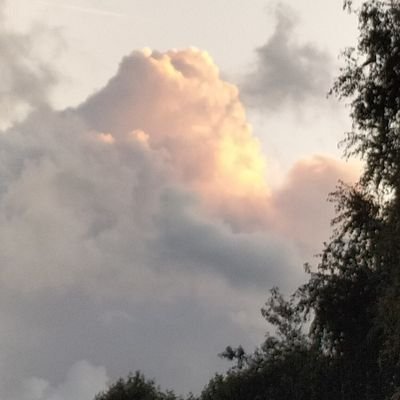 PupGolem's profile picture. NSFW 🔞 
30,🏳️‍🌈 I loves bara/furry art and games!