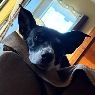 lebiram34980787's profile picture. "Soy responsable de lo que escribo no de lo que quieran entender" "Yo no discuto ,bloqueo" antitaurina y Plena💫 2da @Lebiram226