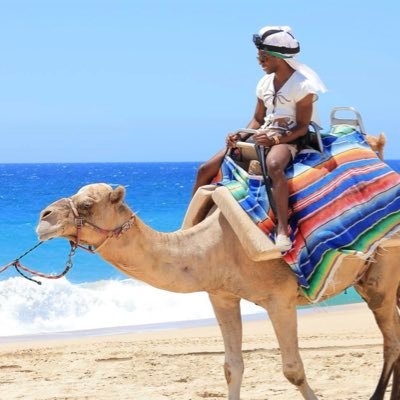 CookieDoe_'s profile picture. Philly Cheeze Made 🧀 A MI NO HABLO INGLÉS. Lomo Saltado/Ceviche Enthusiast. In Toxic Relationship with Philly Sports. Ya tu sabes | IG: cookiedoee_ 4’8