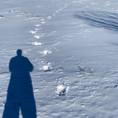 prairieguy2016's profile picture. Just a guy exploring and sharing nature's wonder.