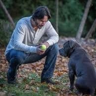 vampirocancun's profile picture. Analista y activista  Político  critico de Espectáculos y Sociales  Provida católico mi convicción Política siempre es por el bien de México -USA 🐺🦇🇲🇽🇺🇲