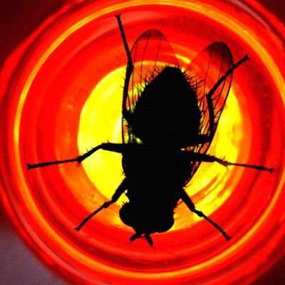 CcJcraig89's profile picture. MUFC E34. The impossible dream made possible.