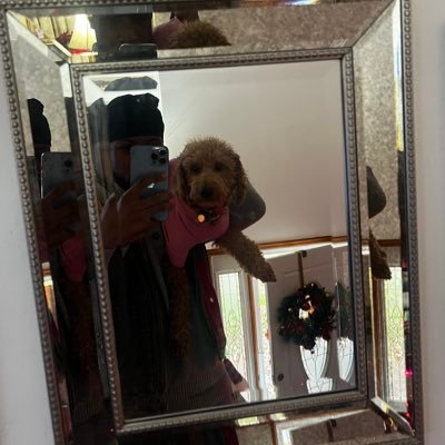 will__sheff's profile picture. I apologize in advance...We have fun on my page . top 5 funniest niggas on twitter idgaf who you follow ..