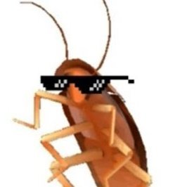 DrRoachess's profile picture. to school for cool