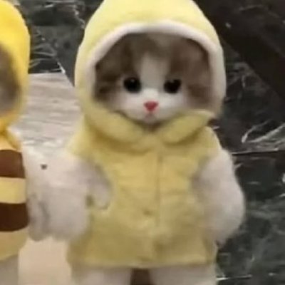 00palescence's profile picture. 