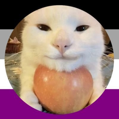 CactusOfSupply's profile picture. 