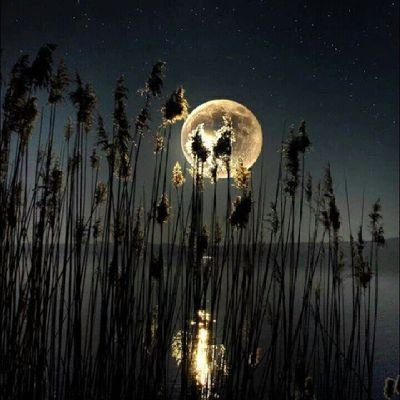 A0426z's profile picture. rahatca yazabildiğim tek yer🪽✨
.
.
.
💍M🤍