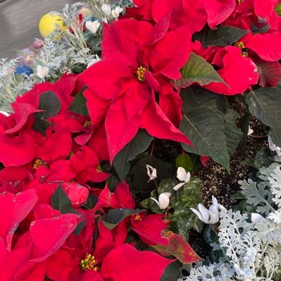 LukeSpinelli3's profile picture. today is November and celebrate at Universal Studios and meet Hello kitty to go on Harry Potter or Dreamwork’s studio