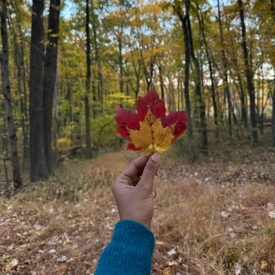 ad_0609's profile picture. Nothing much