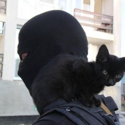 atheerA52647's profile picture. Emi :3