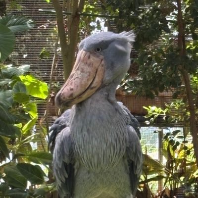 N0545891258534's profile picture. SIerを約20年経験した後に小さなIT企業に転職して人生が明るくなった🔆