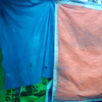 SupraIntellect's profile picture. 