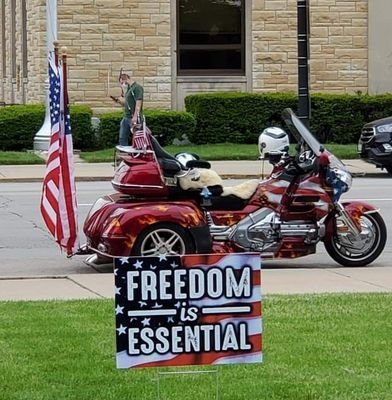 sharpwhtiger's profile picture. 