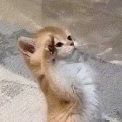 prahks's profile picture. 