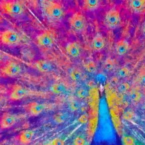 OBSTESHUNS's profile picture. ⤹ 𝄢  🍬⚓️ １6. AEST 💭💸🍀🕉️ 143 ῳąཞɱɬɧ ❤︎︎ 売女 売女 ! 🪬🍭🌱 https://t.co/ysmVJ8gCKC + I’m a boy