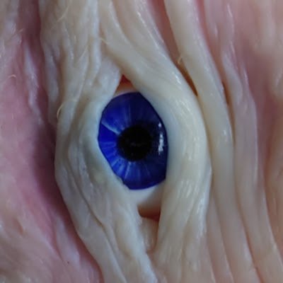 forms_life29565's profile picture. Enabling the awakening of the spatial web revolution.  We are LifeForms. We are watching. Creative decentralized note of @anitya_space