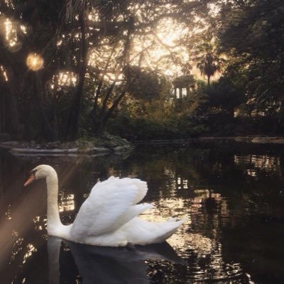 mx012x's profile picture. وأنتَ أدرى بإيمانٍ مننتَ به علي.. ما خدشته كل أوزاري