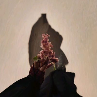 _5ivc's profile picture. Student of geographic information systems