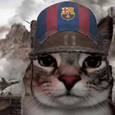 neymarf59346830's profile picture. | Focus on God = less worry.