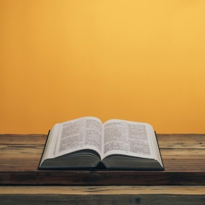 ConDH123's profile picture. ✝️ Revelation 13 KJV Holy Bible... Against the fallen angel lucifer's new world order. Romans 5:8 KJV. 🚫 No Donations... You need JESUS, not money.