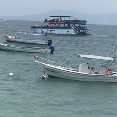 PedroAlvar81226's profile picture. 