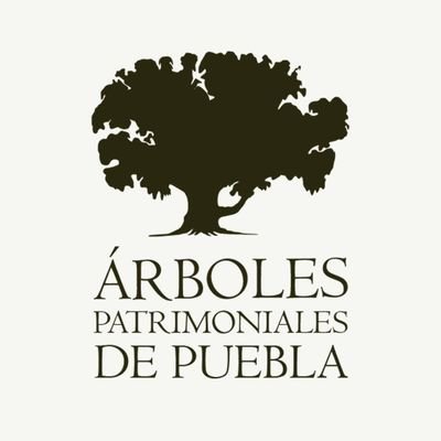 arboles_puebla's profile picture. Promovemos el cuidado y conservación de los árboles patrimoniales o con potencial patrimonial en Puebla.